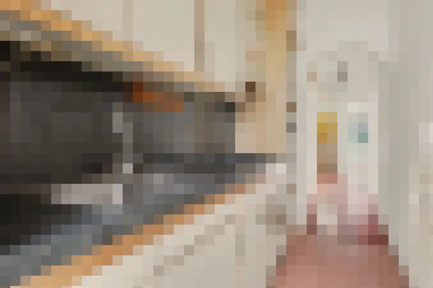 Maartensdijklaan 2 Den Haag thumbnail 15