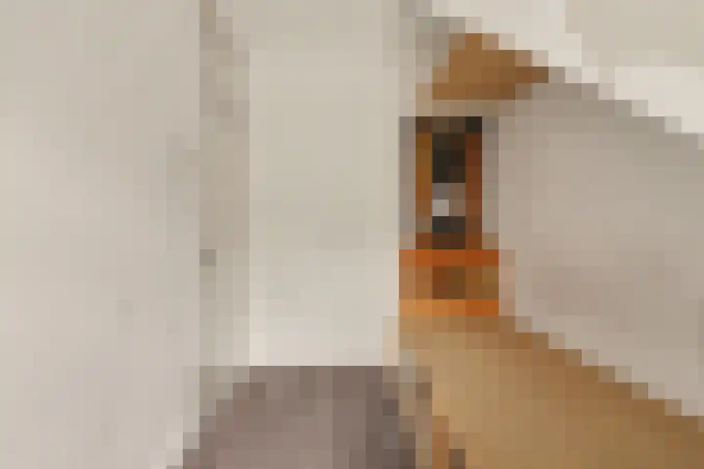 Maartensdijklaan 2 Den Haag thumbnail 25