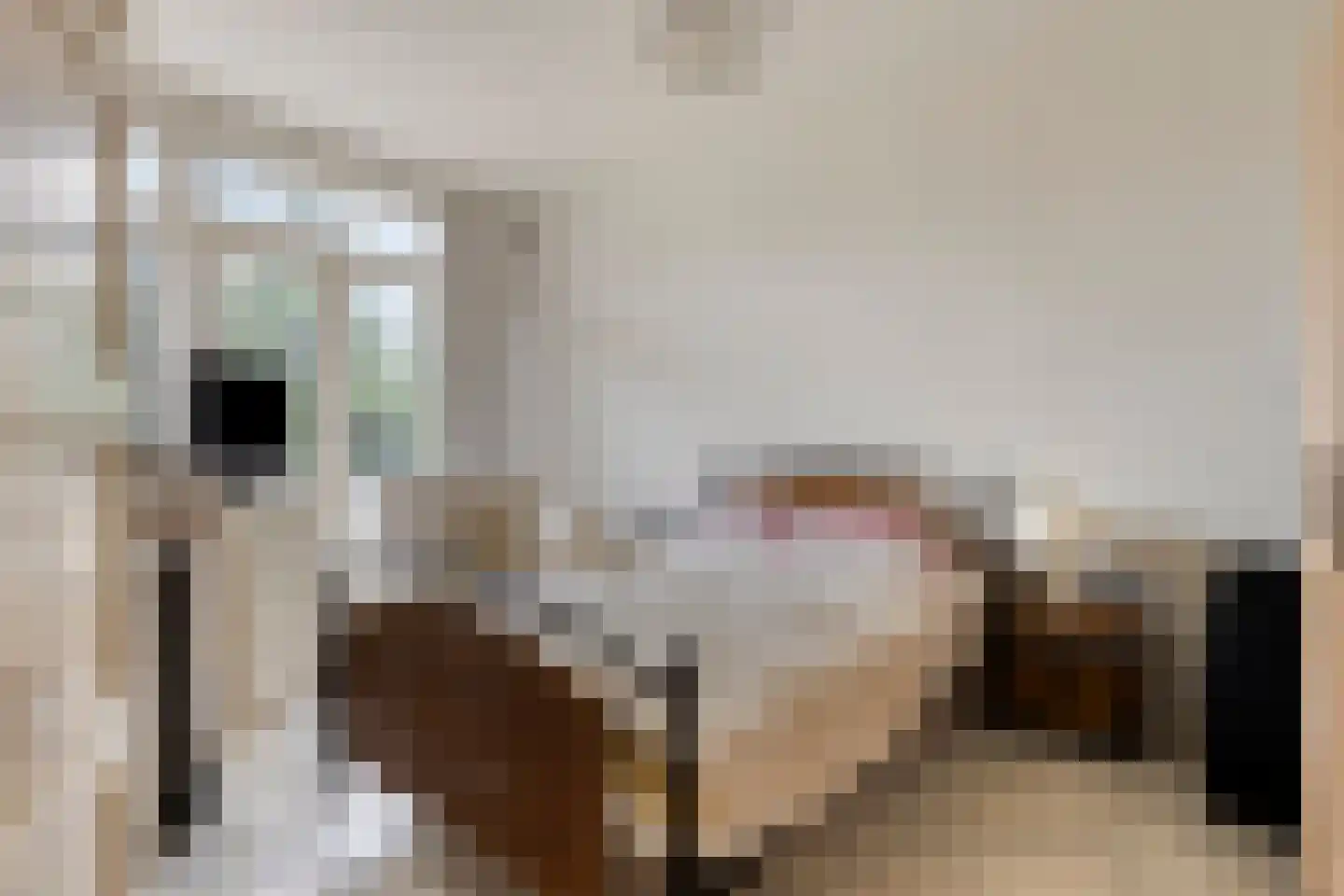 Maartensdijklaan 22 Den Haag thumbnail 10