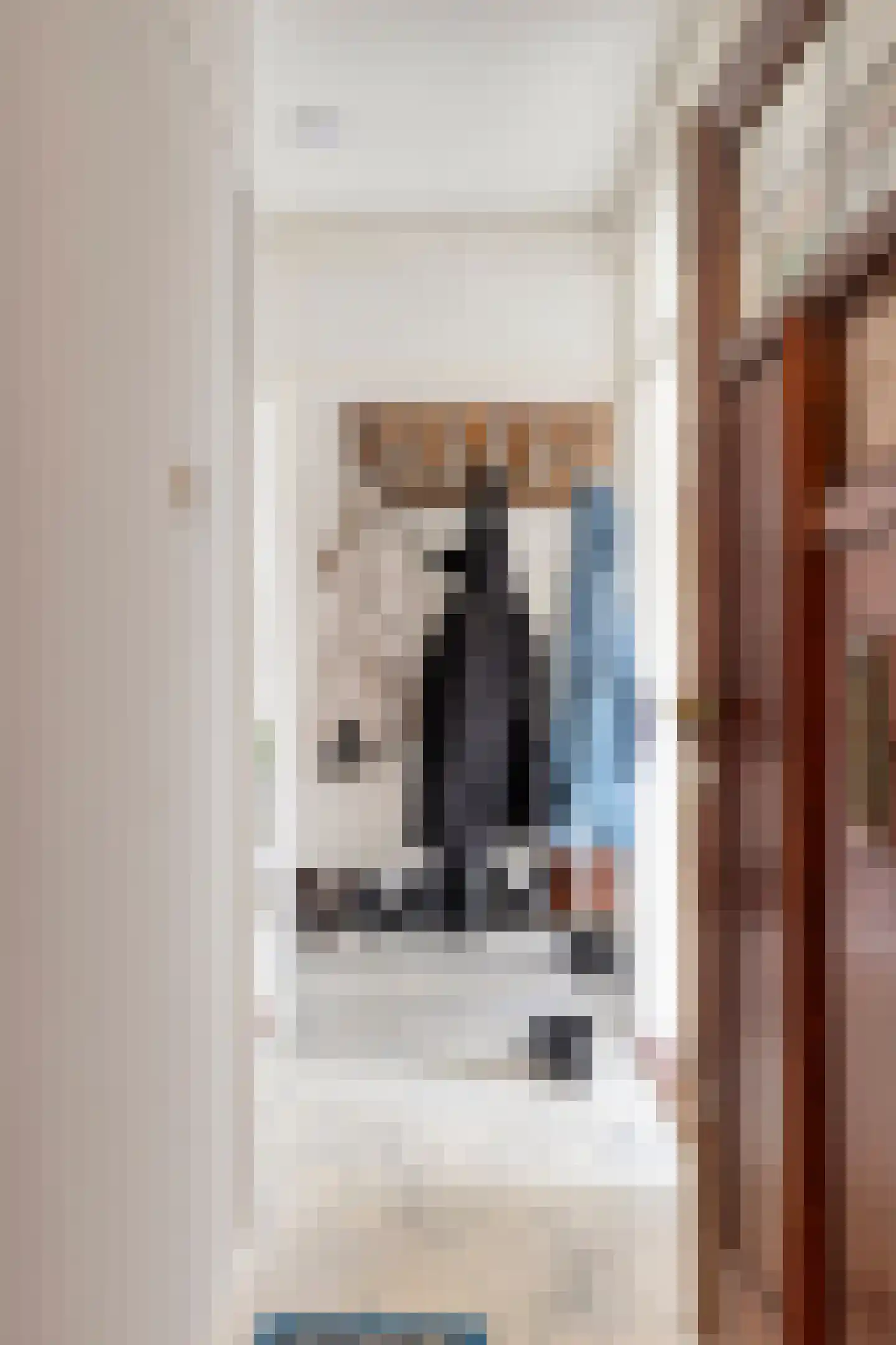 Maartensdijklaan 22 Den Haag thumbnail 6