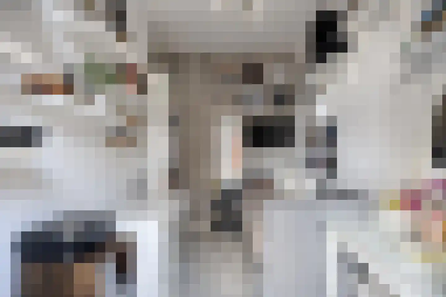 Maartensdijklaan 25 Den Haag thumbnail 12