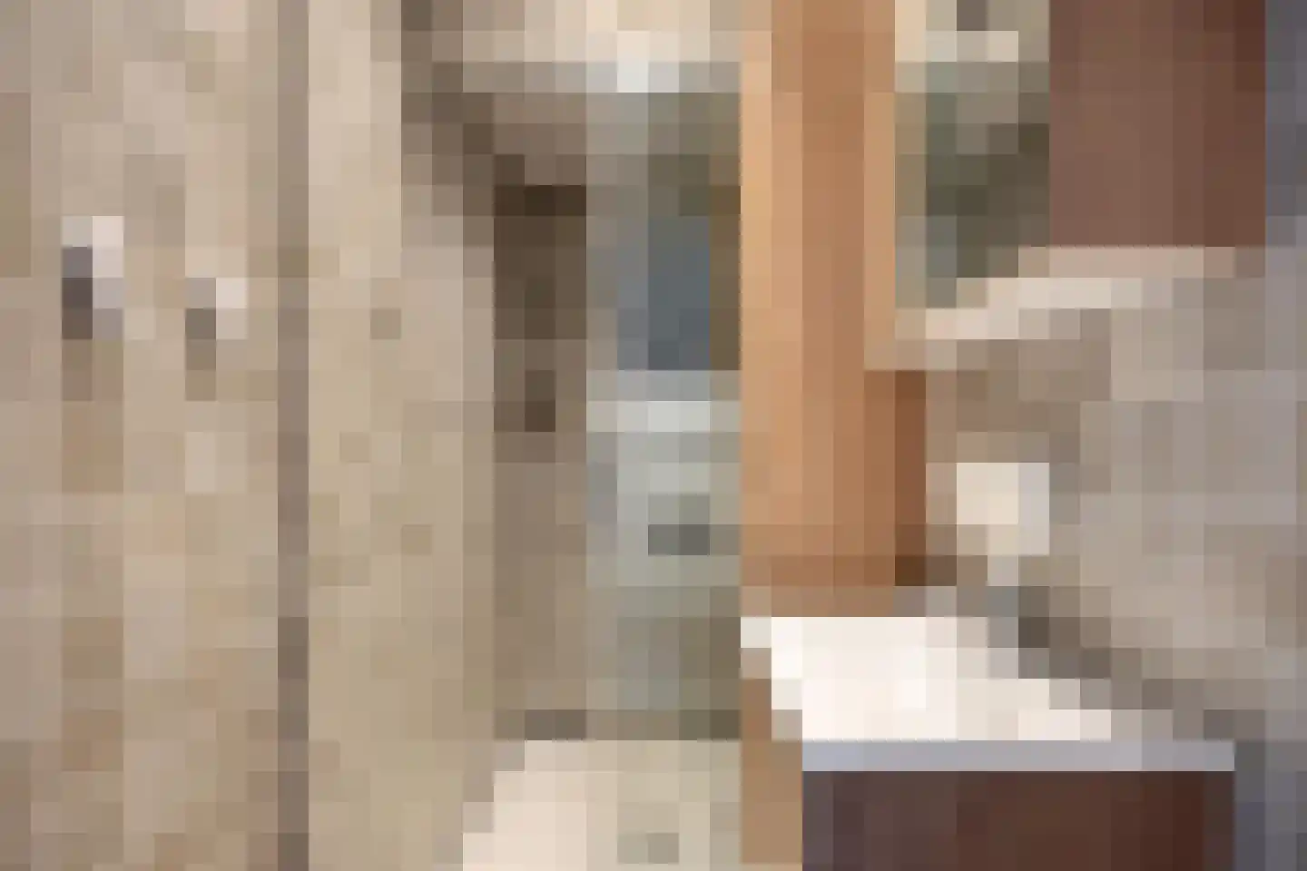 Maartensdijklaan 25 Den Haag thumbnail 8