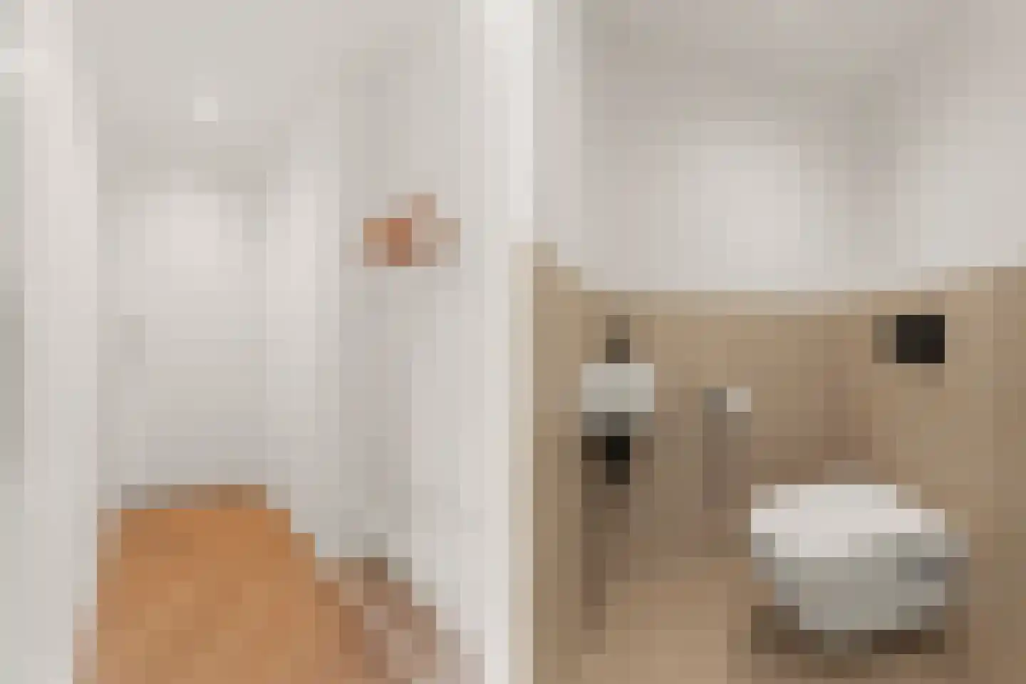 Maartensdijklaan 38 Den Haag thumbnail 14
