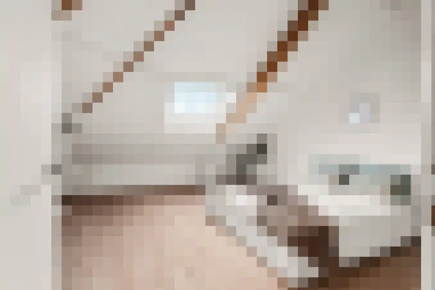Maartensdijklaan 38 Den Haag thumbnail 22