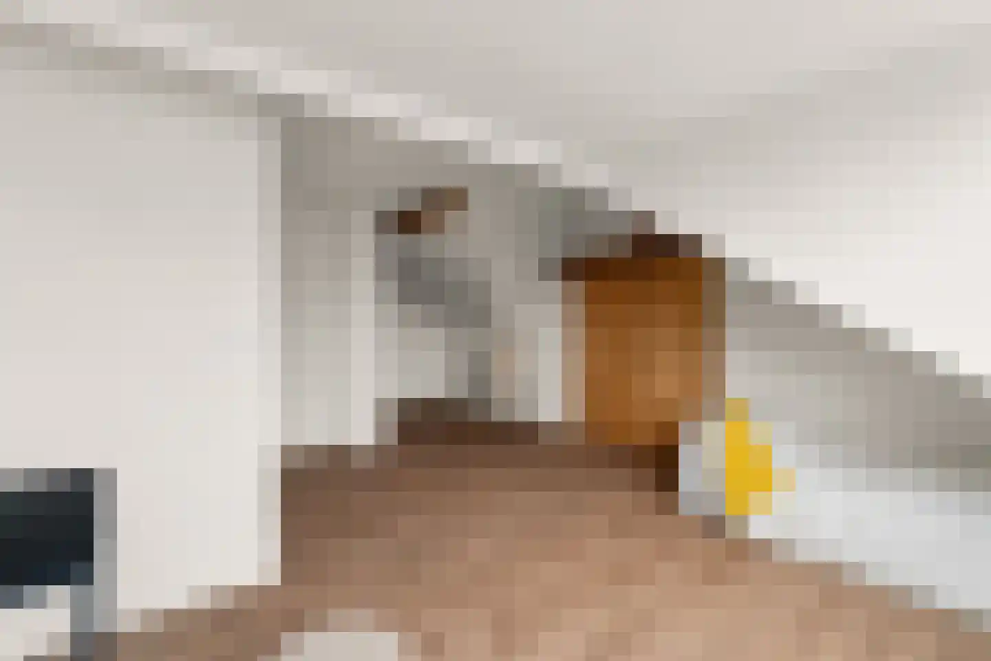 Maartensdijklaan 38 Den Haag thumbnail 25