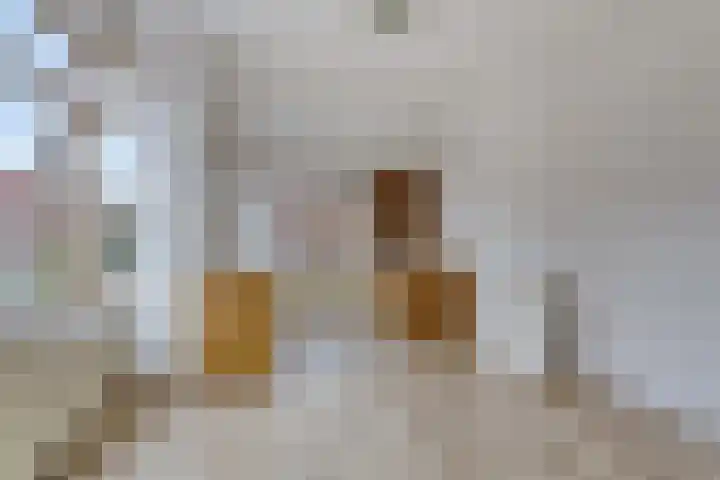 Maartensdijklaan 4 Den Haag thumbnail 11