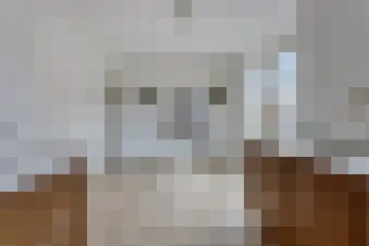 Maartensdijklaan 4 Den Haag thumbnail 14