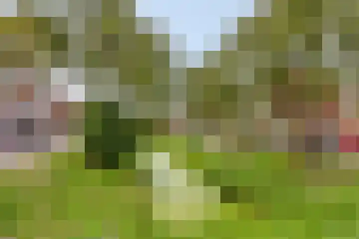 Maartensdijklaan 4 Den Haag thumbnail 24