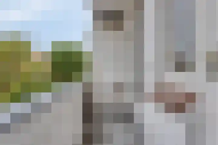 Maartensdijklaan 4 Den Haag thumbnail 4