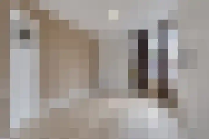 Maartensdijklaan 4 Den Haag thumbnail 9