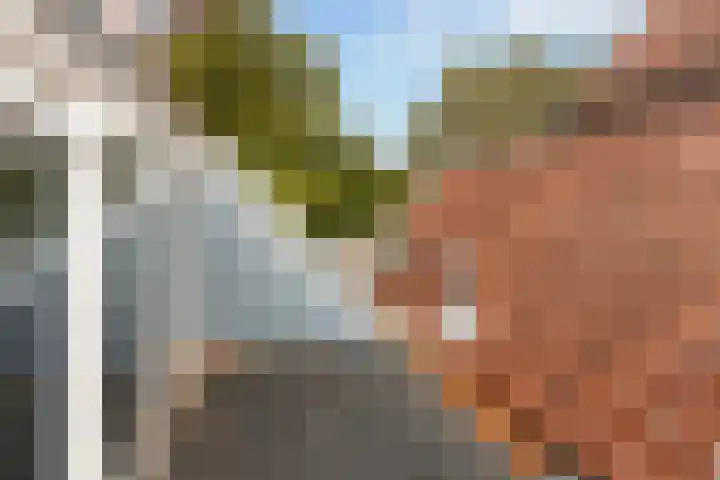 Maartensgat 29 Dordrecht thumbnail 9