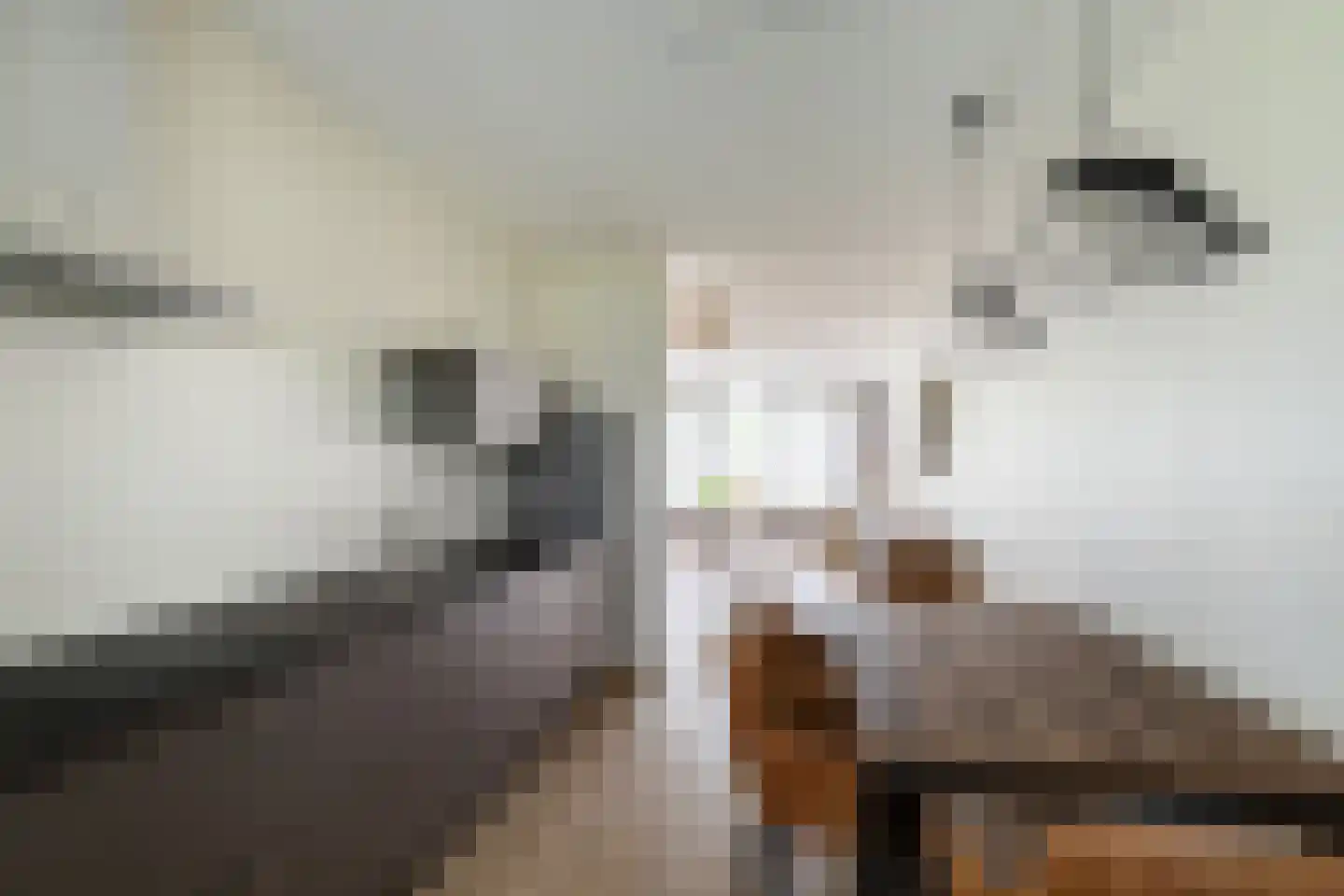 Maartenshof 65 Sint-Maartensdijk thumbnail 17