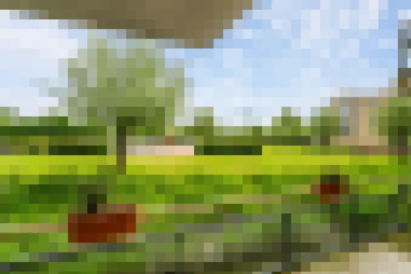 Maartenshof 65 Sint-Maartensdijk thumbnail 29