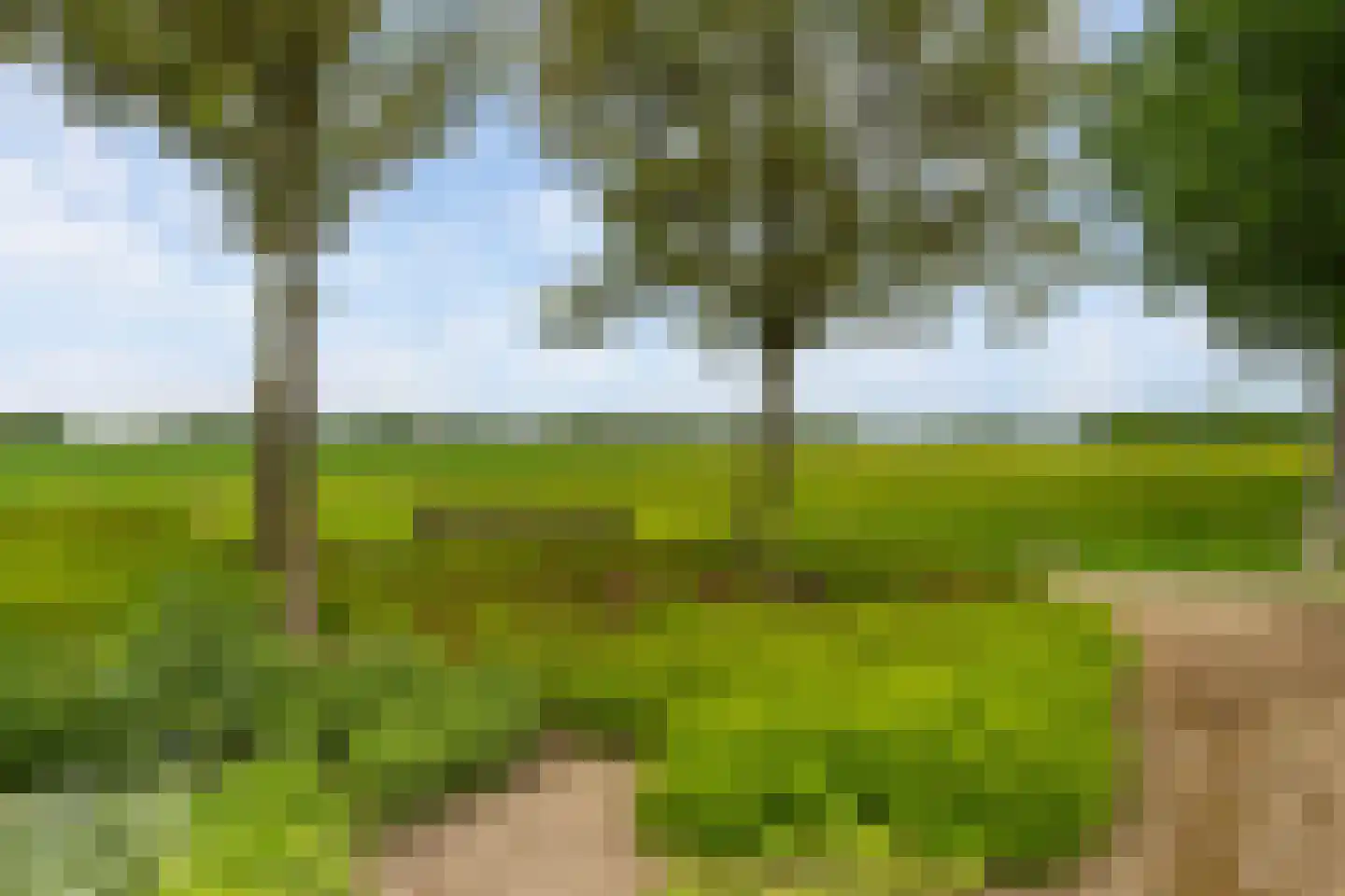 Maartenshof 65 Sint-Maartensdijk thumbnail 33