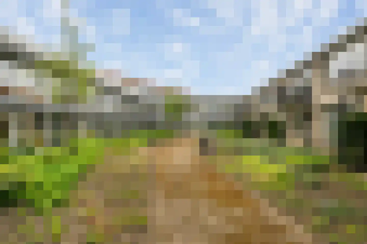 Maartenshof 65 Sint-Maartensdijk thumbnail 35