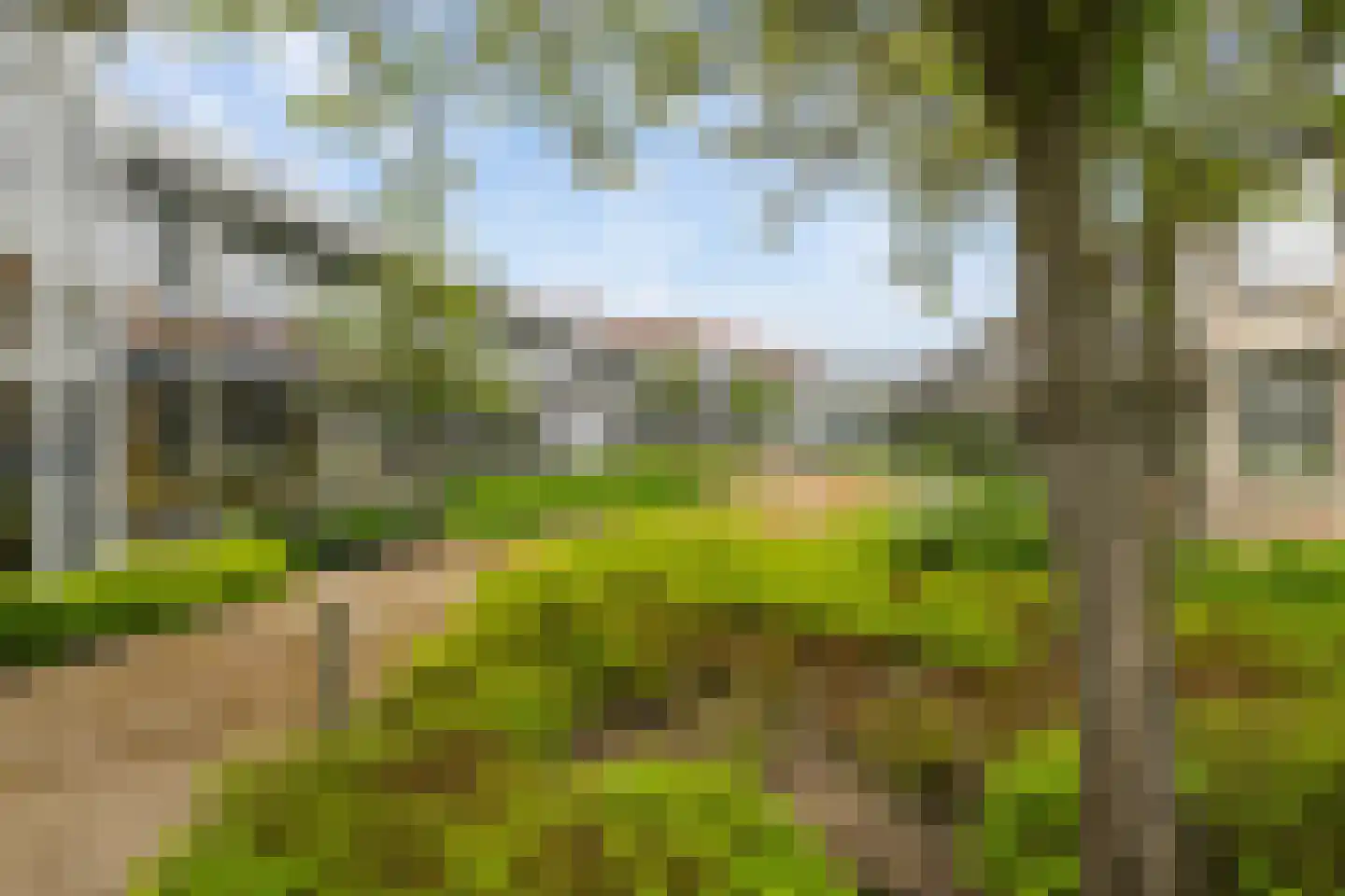 Maartenshof 65 Sint-Maartensdijk thumbnail 36