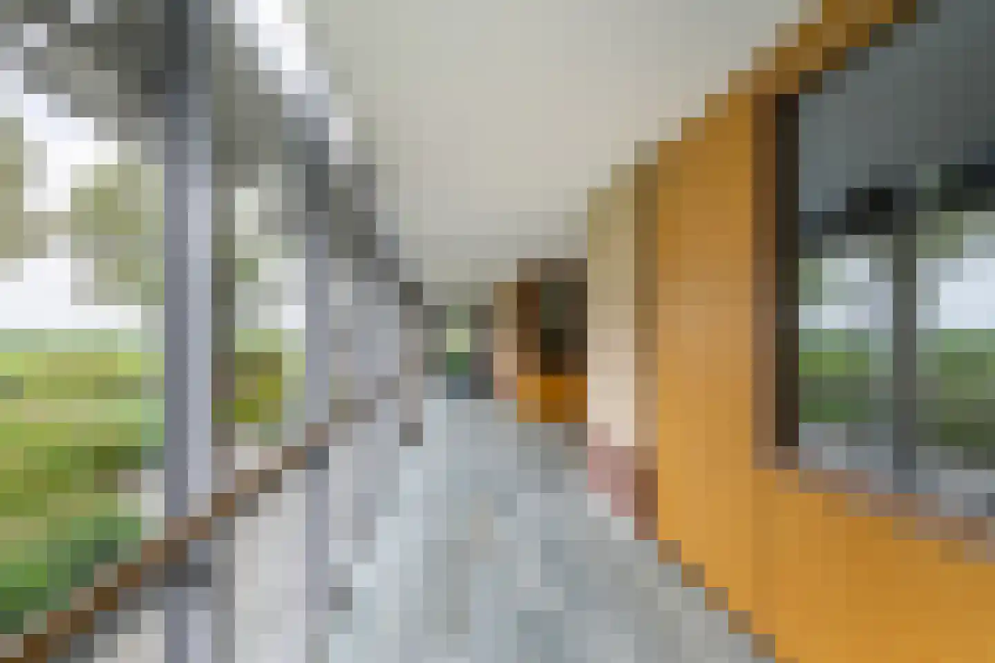 Maartenshof 65 Sint-Maartensdijk thumbnail 8
