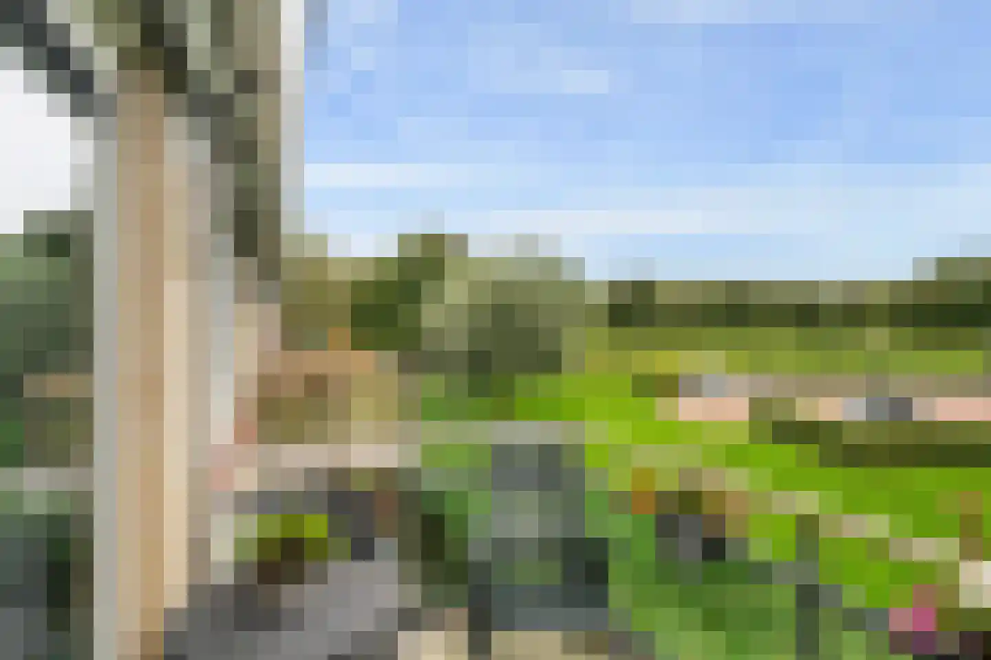 Maartenshof 80 Sint-Maartensdijk thumbnail 17