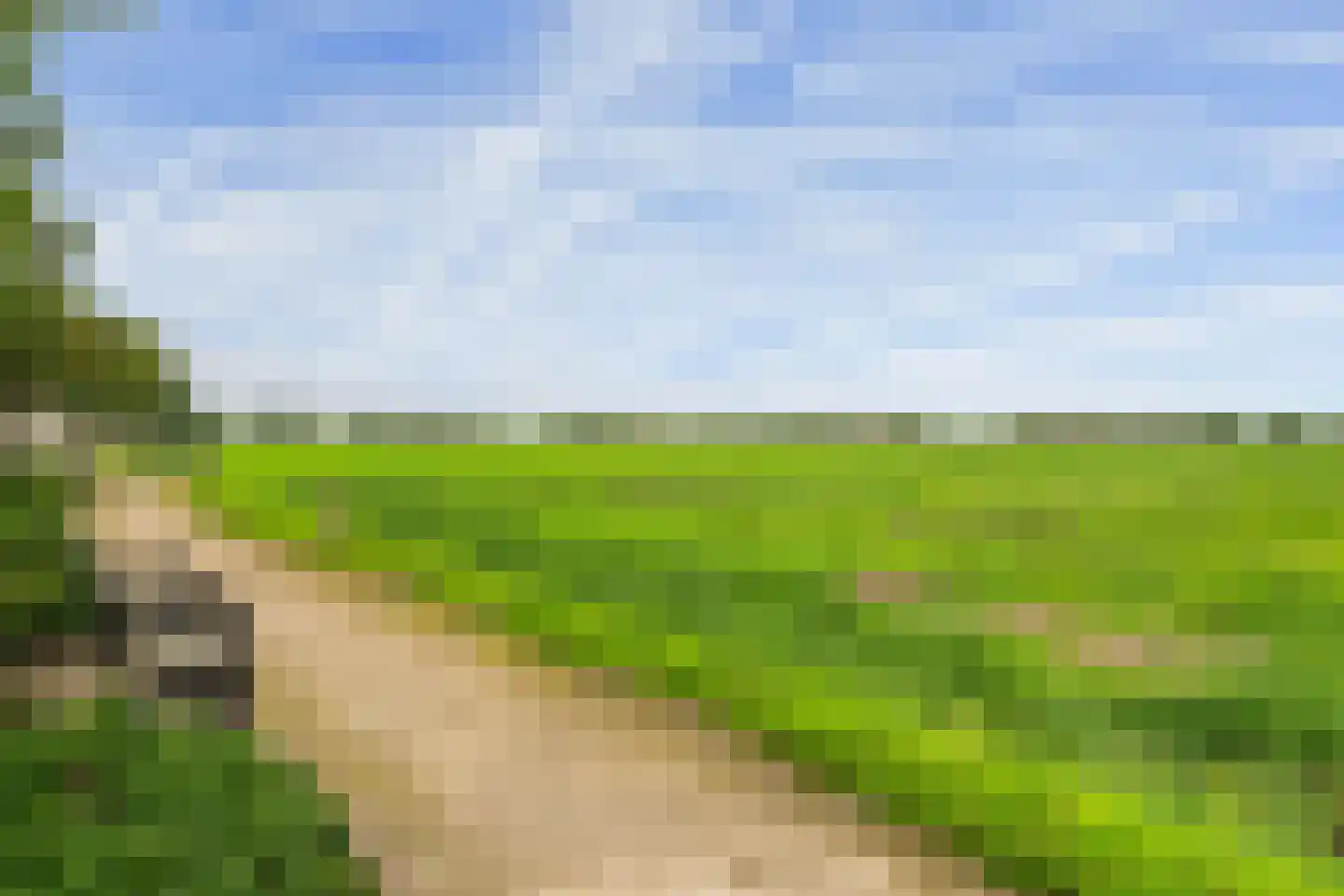 Maartenshof 80 Sint-Maartensdijk thumbnail 27