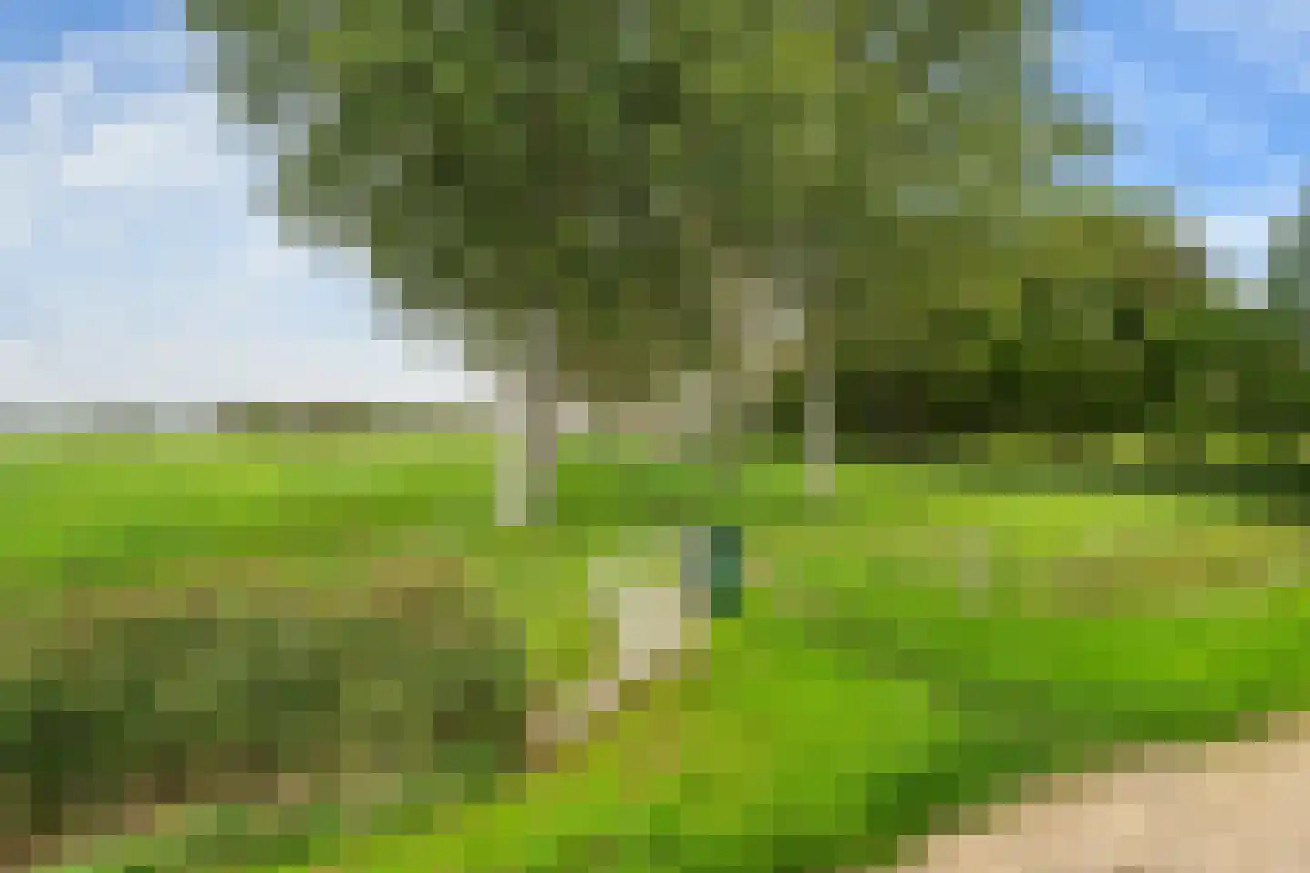 Maartenshof 80 Sint-Maartensdijk thumbnail 28