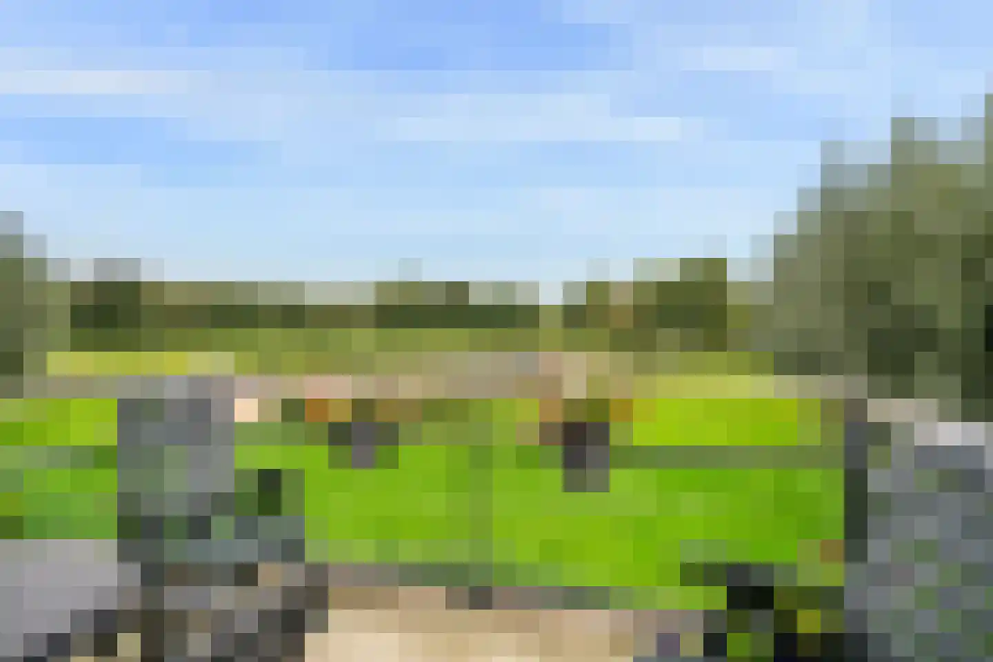 Maartenshof 80 Sint-Maartensdijk thumbnail 6