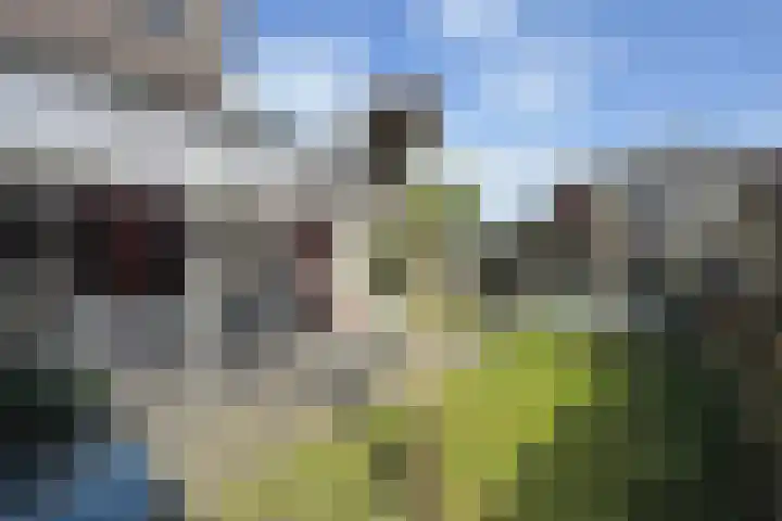 Maartenskreek 13 Willemstad thumbnail 63
