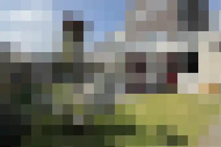 Maartenskreek 13 Willemstad thumbnail 64