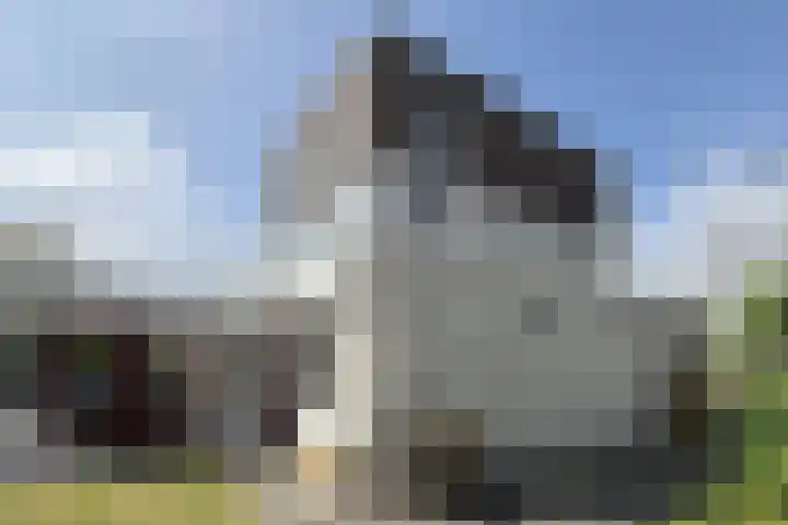 Maartenskreek 13 Willemstad thumbnail 67