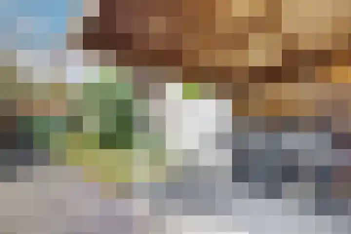Maartenskreek 13 Willemstad thumbnail 69