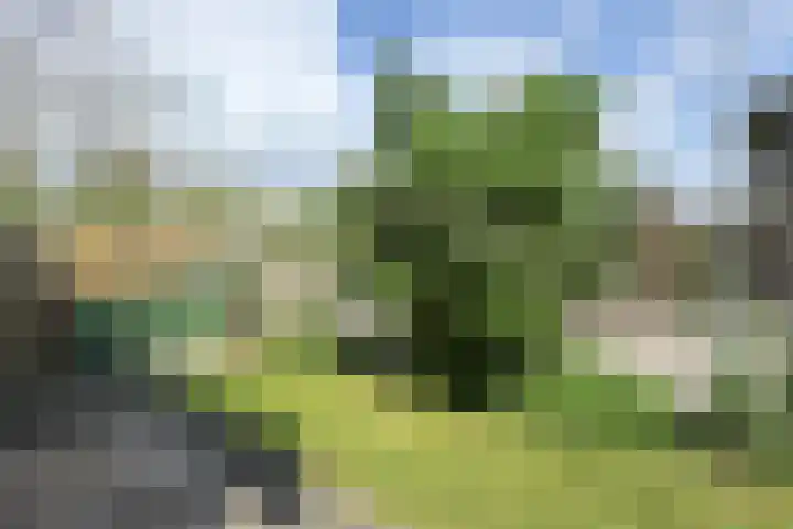 Maartenskreek 13 Willemstad thumbnail 71
