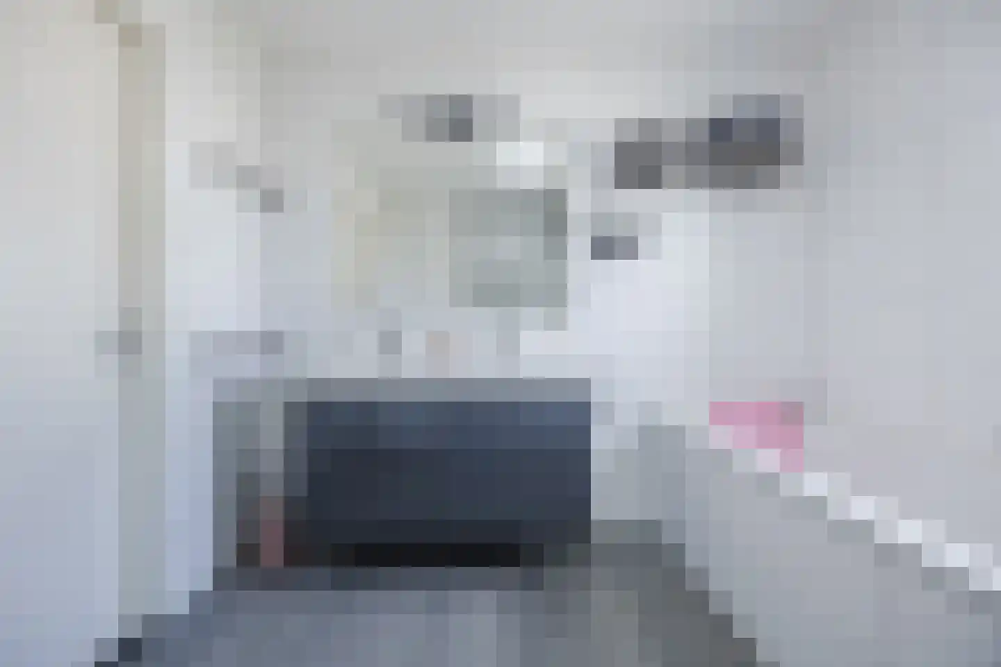 Maartenskreek 5 Willemstad thumbnail 22