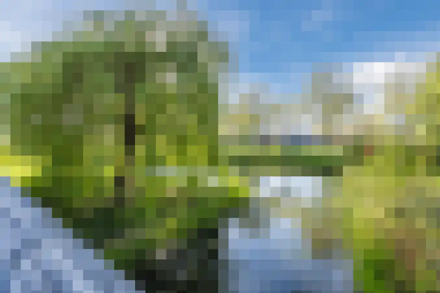 Maartenskreek 5 Willemstad thumbnail 48