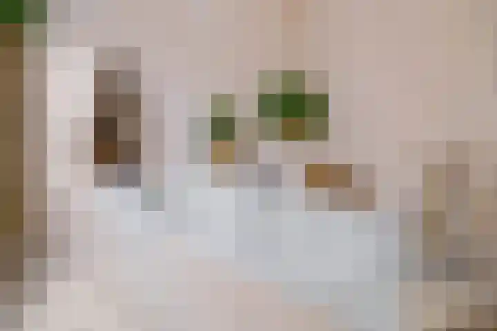 Maartenstraat 4 Nispen thumbnail 17