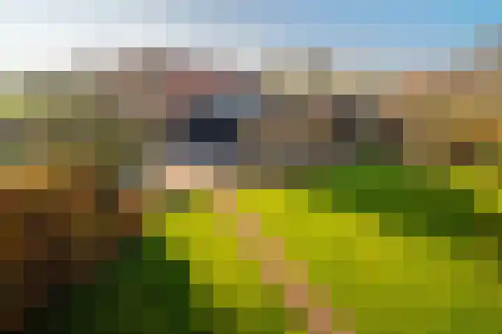Maartenstraat 4 Nispen thumbnail 4