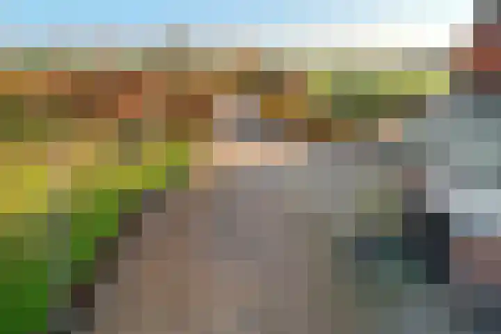 Maartenstraat 4 Nispen thumbnail 42