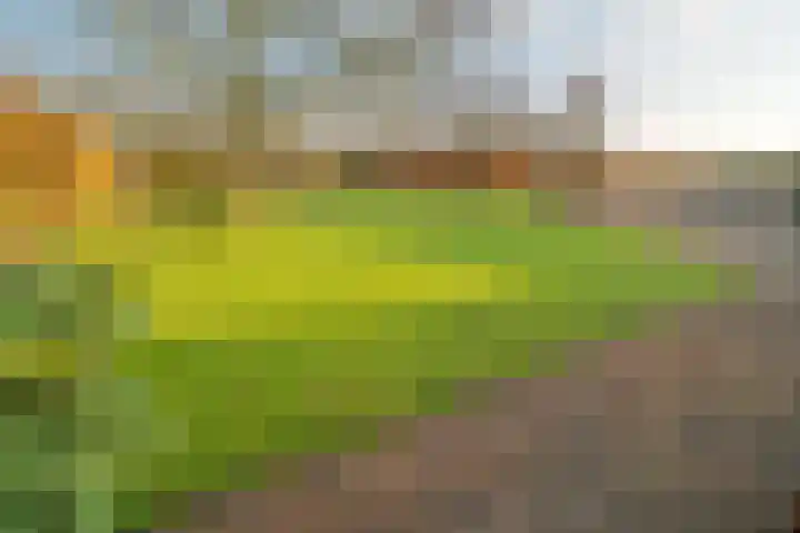 Maartenstraat 4 Nispen thumbnail 43
