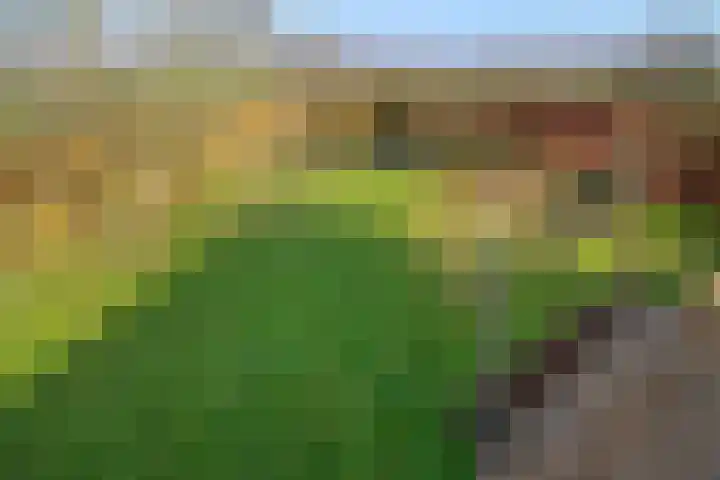 Maartenstraat 4 Nispen thumbnail 44