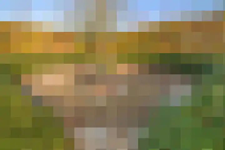 Maartenstraat 4 Nispen thumbnail 45