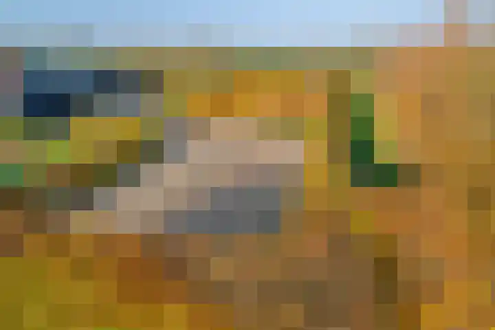 Maartenstraat 4 Nispen thumbnail 46