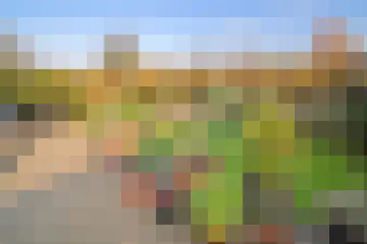 Maartenstraat 4 Nispen thumbnail 48