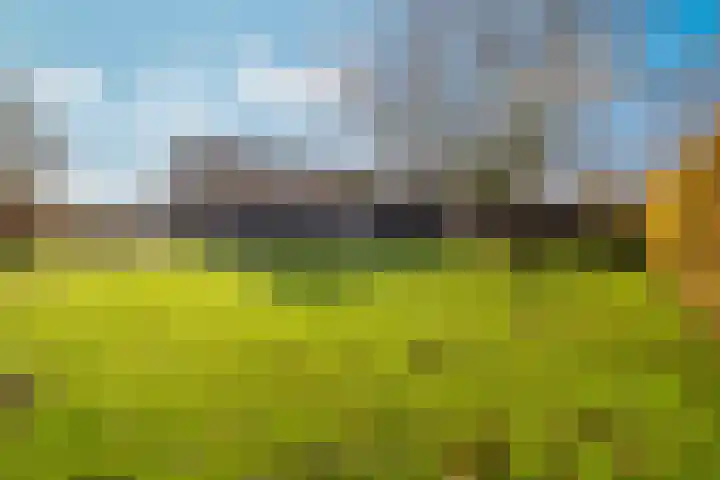 Maartenstraat 4 Nispen thumbnail 49