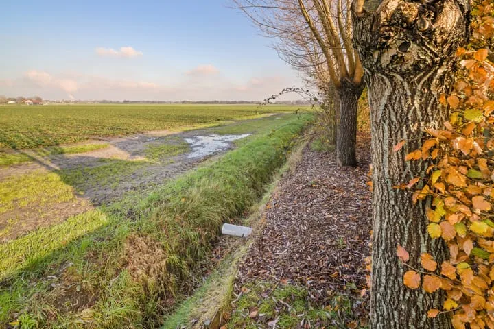 Maartenstraat 4 Nispen thumbnail 50
