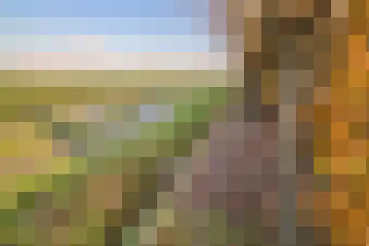 Maartenstraat 4 Nispen thumbnail 50