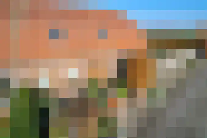 Maartenstraat 4 Nispen thumbnail 53