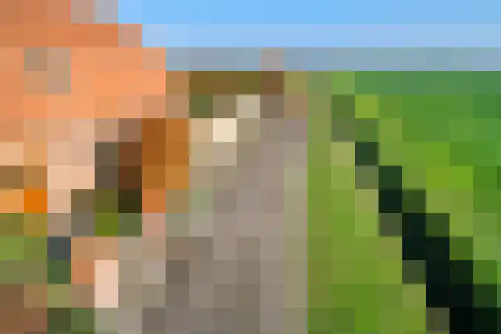 Maartenstraat 4 Nispen thumbnail 54