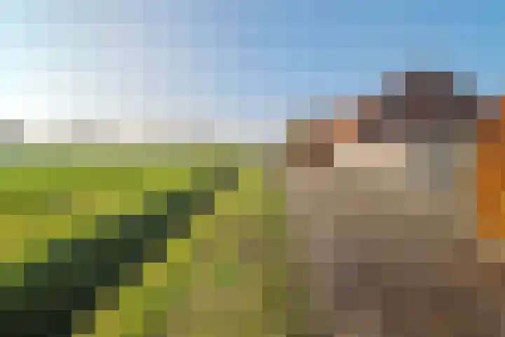 Maartenstraat 4 Nispen thumbnail 57