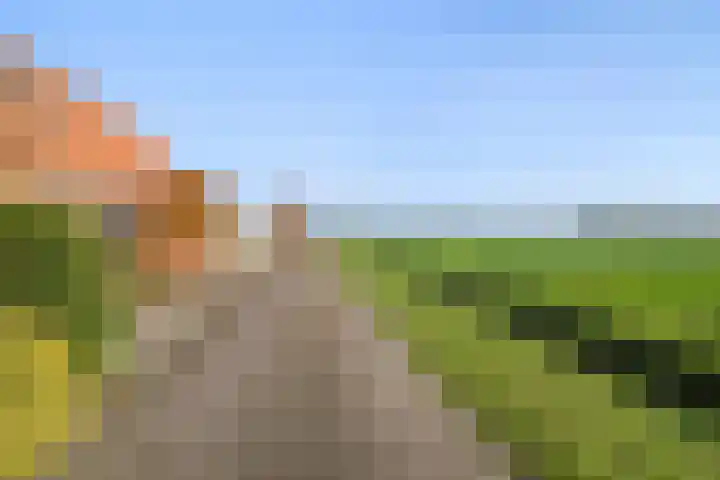 Maartenstraat 4 Nispen thumbnail 58