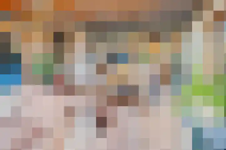 Maartenstraat 4 Nispen thumbnail 7