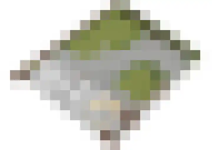 Maartenstraat 4 Nispen thumbnail 70