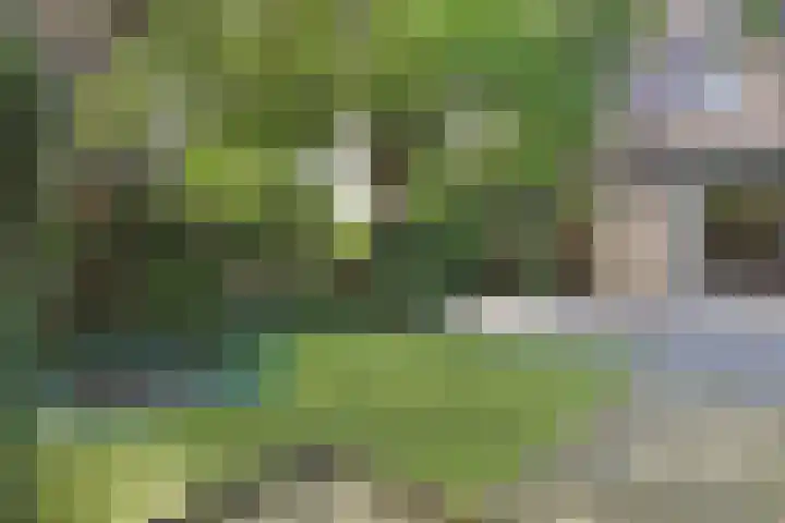 Maartje den Outerstraat 2 Rotterdam thumbnail 15